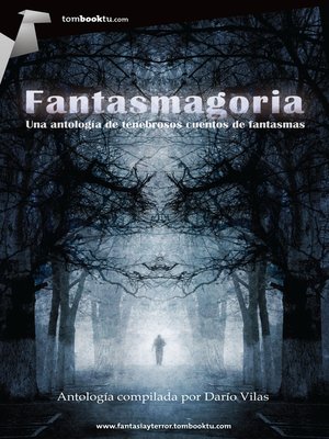 cover image of Fantasmagoria
